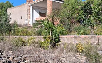 venta terrenos solares l´ alcora pedrizas-pedrissetes