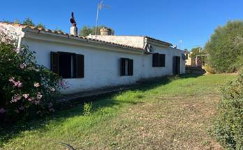 51 casas en venta alaro