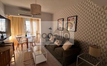 alquiler piso sevilla madre de dios