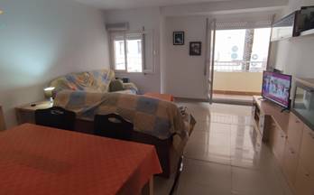 117 busca pisos o casas por texto libre