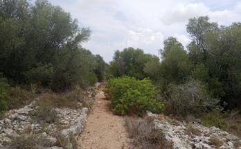 venta finca rustica calig castellon