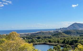 71 terrenos y fincas en venta alfaz del pi