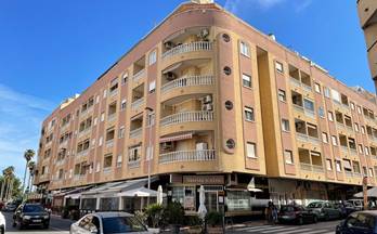alquiler apartamento torrevieja centro