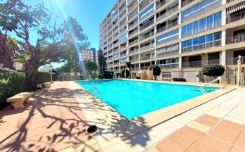 alquiler apartamento gandia playa de gandia