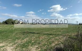 venta finca rustica petra 