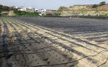 64 terrenos y fincas en venta algarrobo