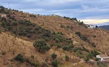 venta terrenos solares malaga montes de málaga