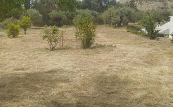 67 terrenos y fincas en venta finestrat