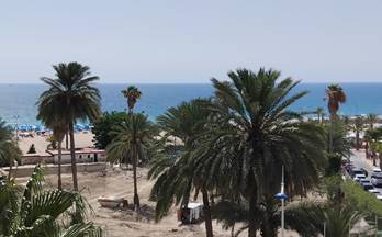 420 apartamentos en venta benidorm