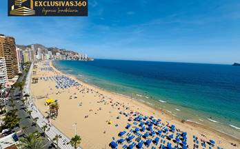 809 pisos en venta el albir