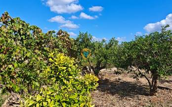 venta terrenos solares la nucia pueblo