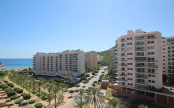 176 apartamentos en venta sella