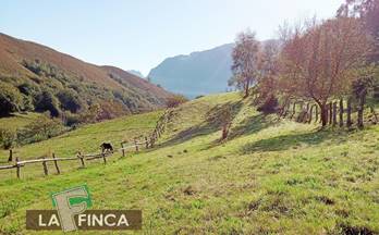 27 terrenos y fincas en venta morcin