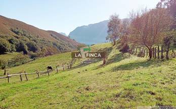 4 terrenos y fincas en venta riosa