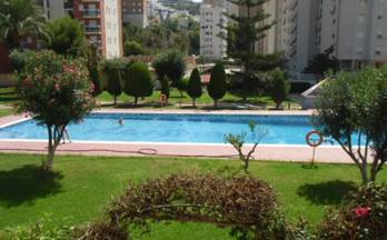 262 pisos en venta relleu