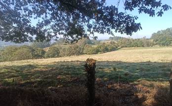 venta finca rustica illano centro