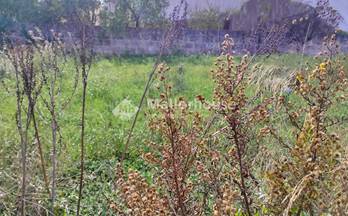 290 terrenos y fincas en venta mallorca islas baleares