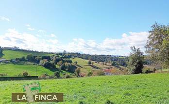 32 terrenos y fincas en venta carreño