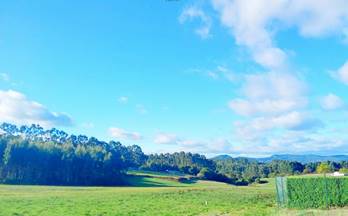 venta terrenos solares resto provincia soto del barco concejo