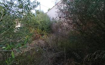 venta terrenos solares muro muro