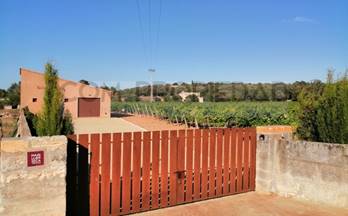 125 terrenos y fincas en venta costitx