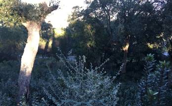 venta terrenos solares maçanet de la selva maçanet de la selva