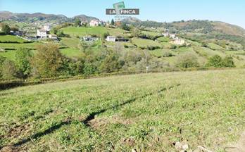 43 terrenos y fincas en venta latores