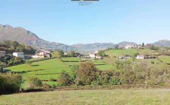 34 terrenos y fincas en venta oviedo