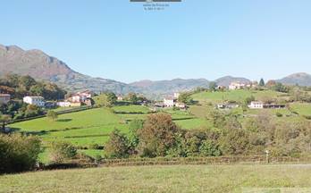 venta terrenos solares morcin pedrosa