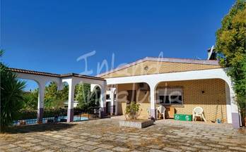 11 casas en venta fuente palmera