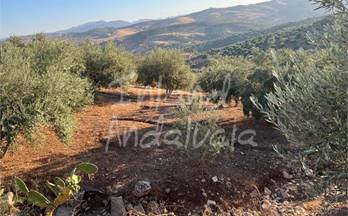 16 terrenos y fincas en venta periana
