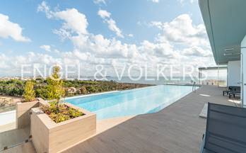 alquiler apartamento torrevieja punta prima