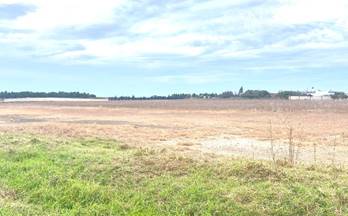 venta casa de campo sanlucar de barrameda canada del amarguillo