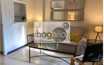 alquiler piso sevilla casco antiguo