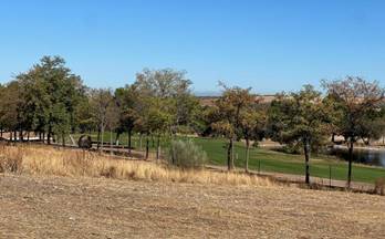 8 terrenos y fincas en venta arges