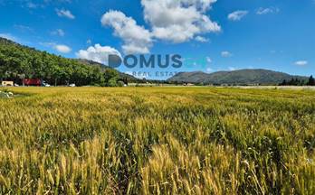 117 terrenos y fincas en venta alcudia, islas baleares