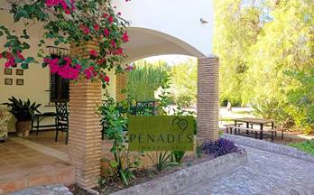 176 casas en venta agullent