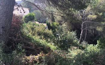 196 terrenos y fincas en venta lliber