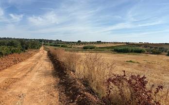venta terrenos solares bollullos par del condado andalucia