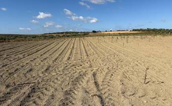 venta terrenos solares bollullos par del condado andalucia