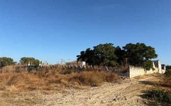 23 terrenos y fincas en venta almonte