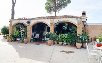 13 terrenos y fincas en venta bonares