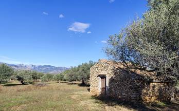 venta terrenos solares tivenys 