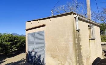 81 terrenos y fincas en venta vinallop