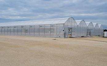 430 terrenos y fincas en venta alicante provincia