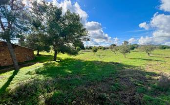 64 terrenos y fincas en venta ariany