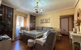 venta piso dos hermanas el amparo