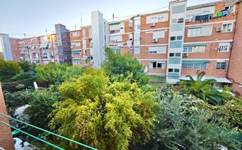 alquiler piso madrid capital centro