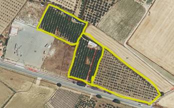 venta finca rustica resto provincia manzanilla