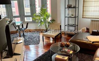 36 pisos en venta portugalete